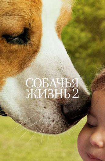 Фильм Собачья жизнь 2 2019 смотреть онлайн с Марг Хельгенбергер и Эбби Райдер Фортсон